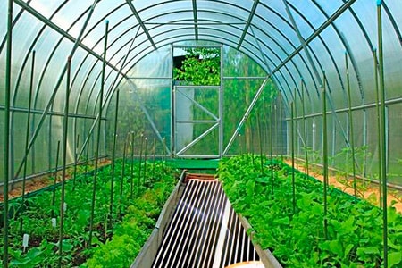 Теплица с обогревом грядок для выращивания овощей (растений) в межсезонье своими руками